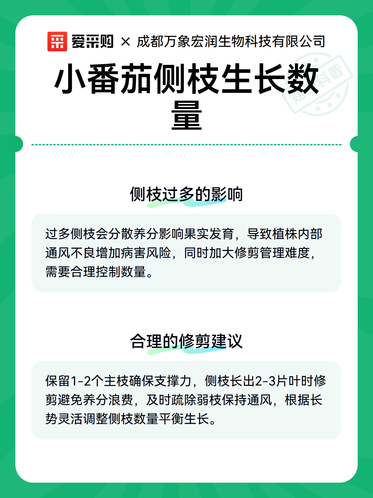 小番茄侧枝生长数量（图3）