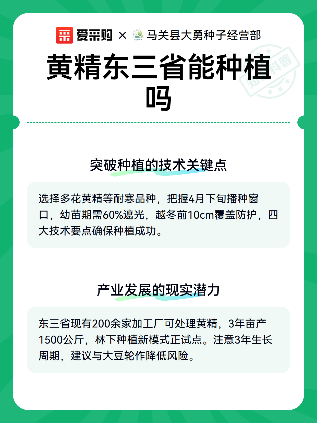 黄精东三省能种植吗（图2）