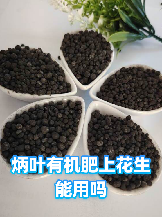 炳叶有机肥上花生能用吗（图1）