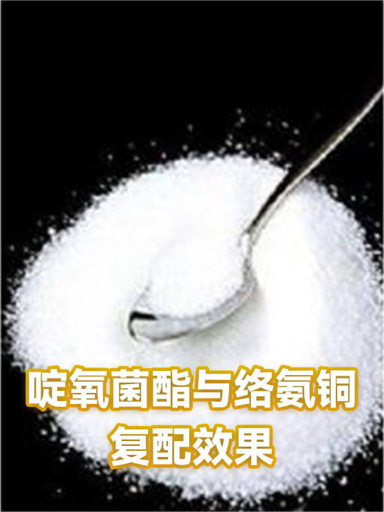 啶氧菌酯与络氨铜复配效果（图1）