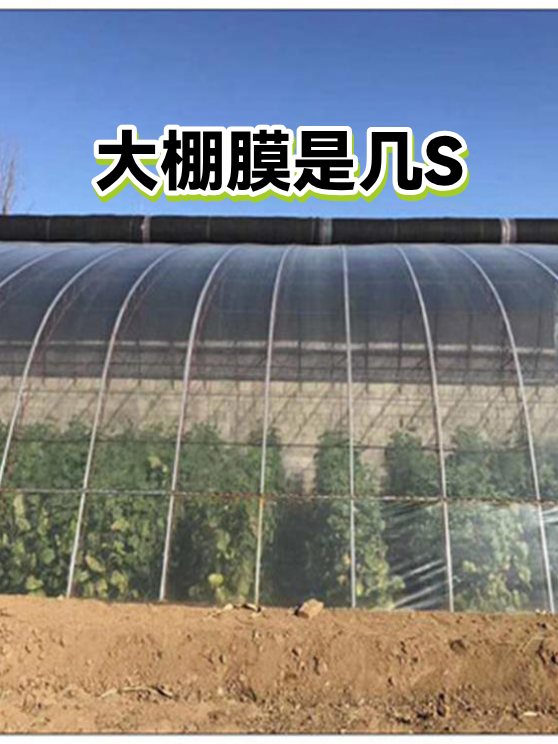 大棚膜是几S（图1）