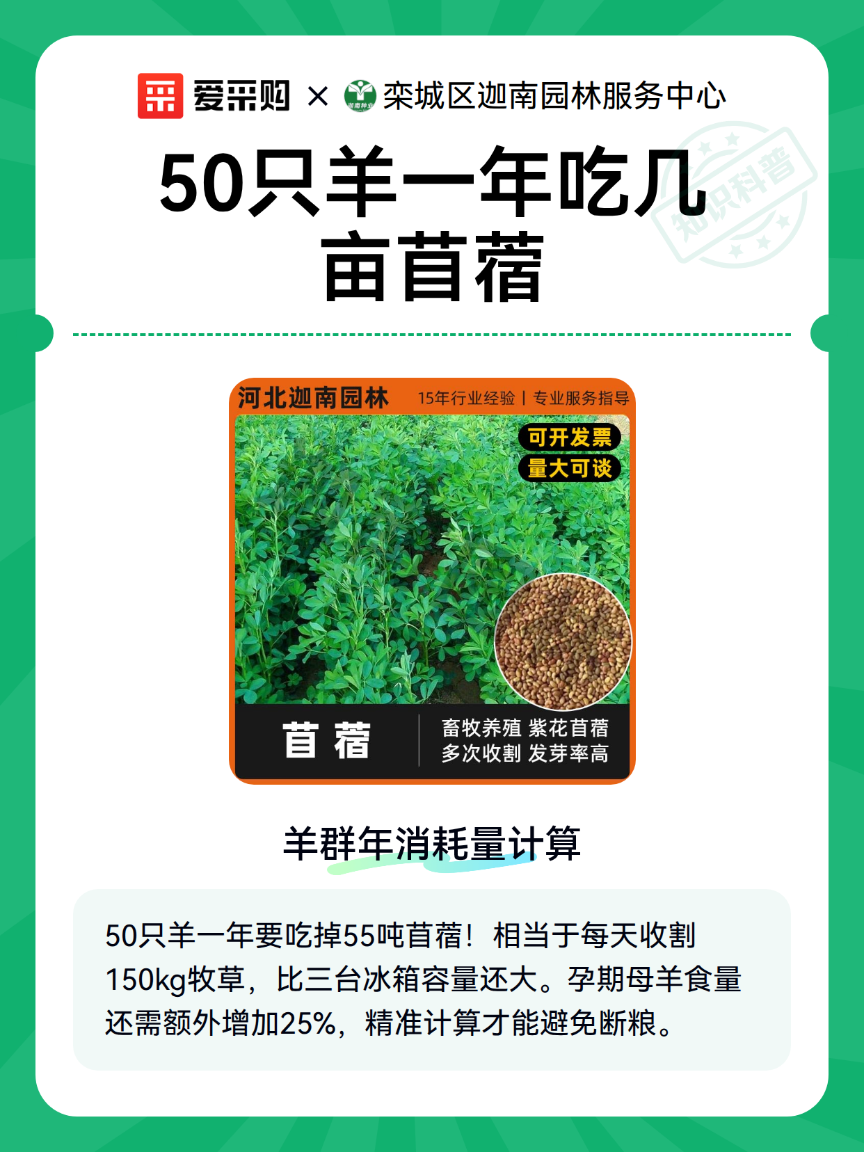 50只羊一年吃几亩苜蓿（图2）