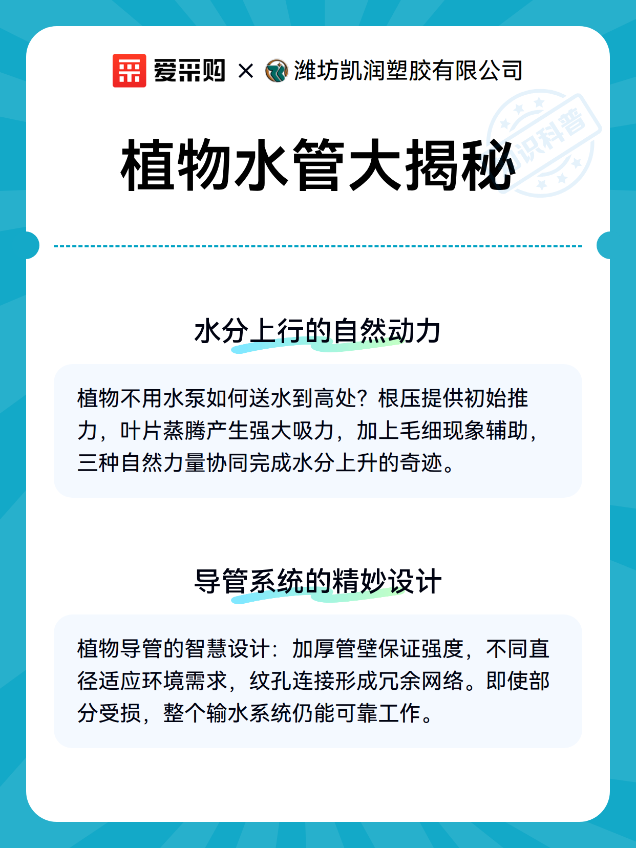 植物输水导管选型：从自然设计到工程应用的匹配要点（图3）