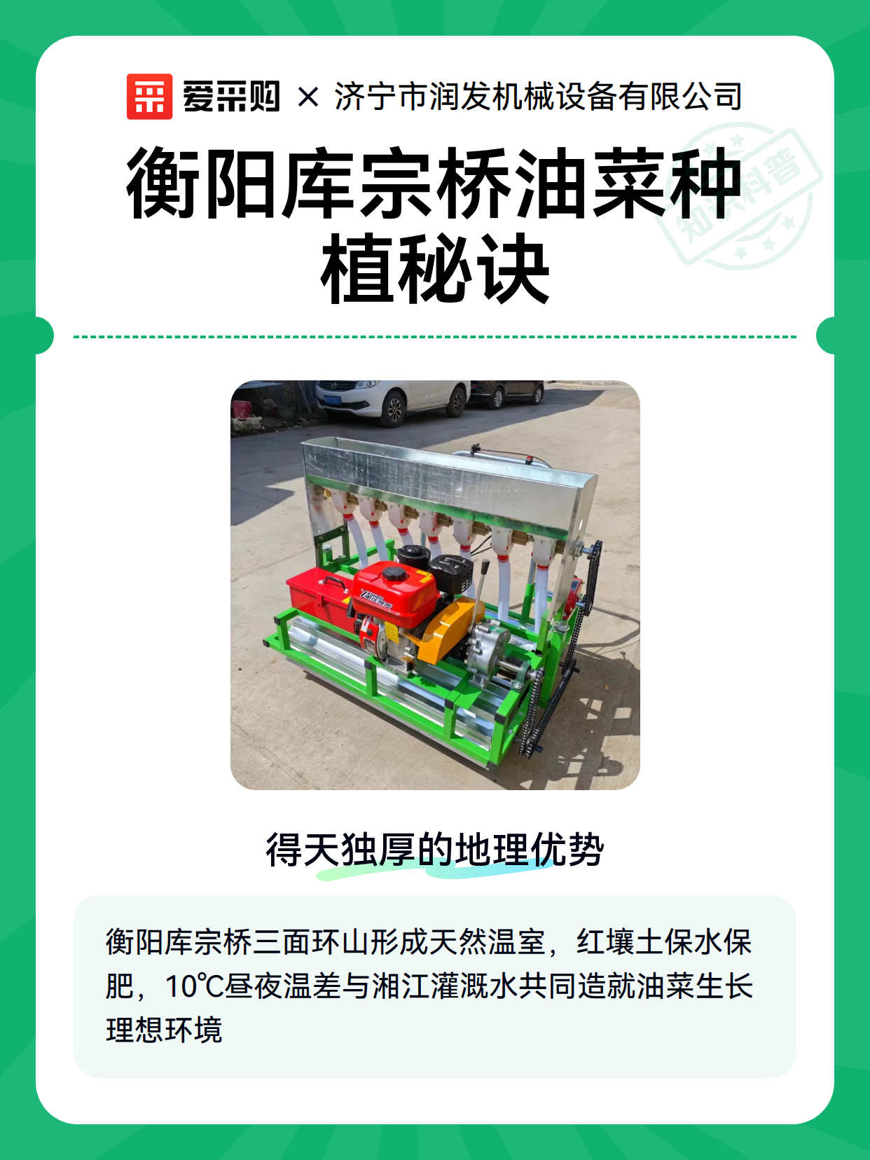 衡阳库宗桥油菜种植秘诀（图1）