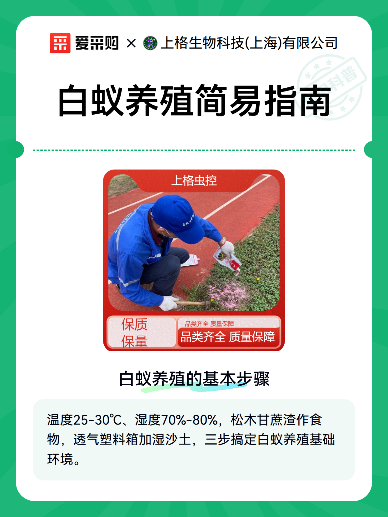 白蚁养殖简易指南（图1）