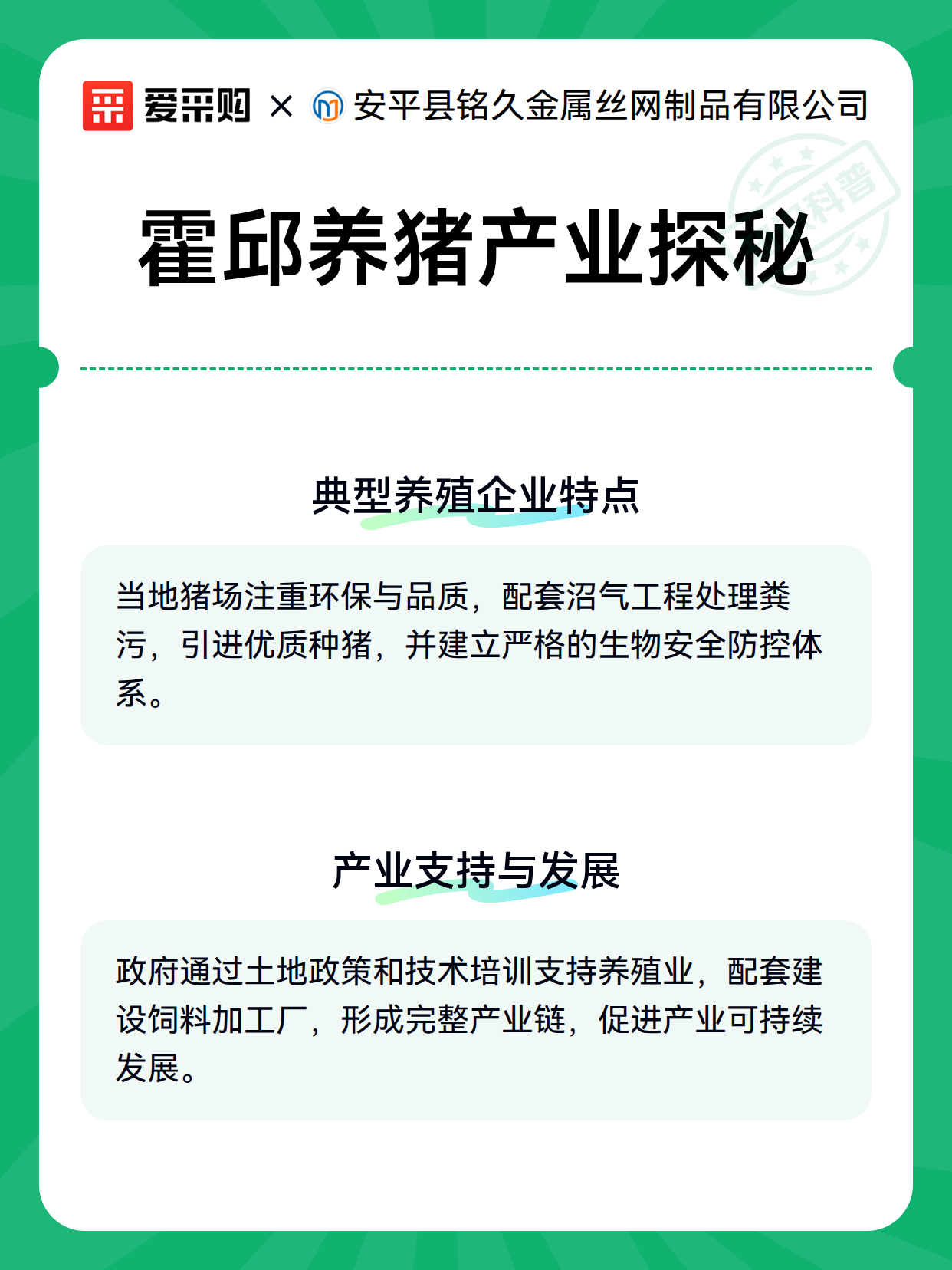 霍邱养猪产业探秘（图2）
