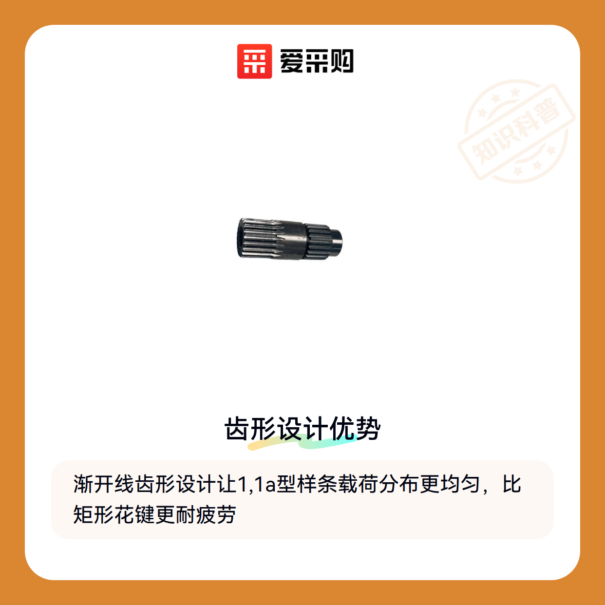 1,1a型样条 vs 普通样条：关键差异解析（图1）