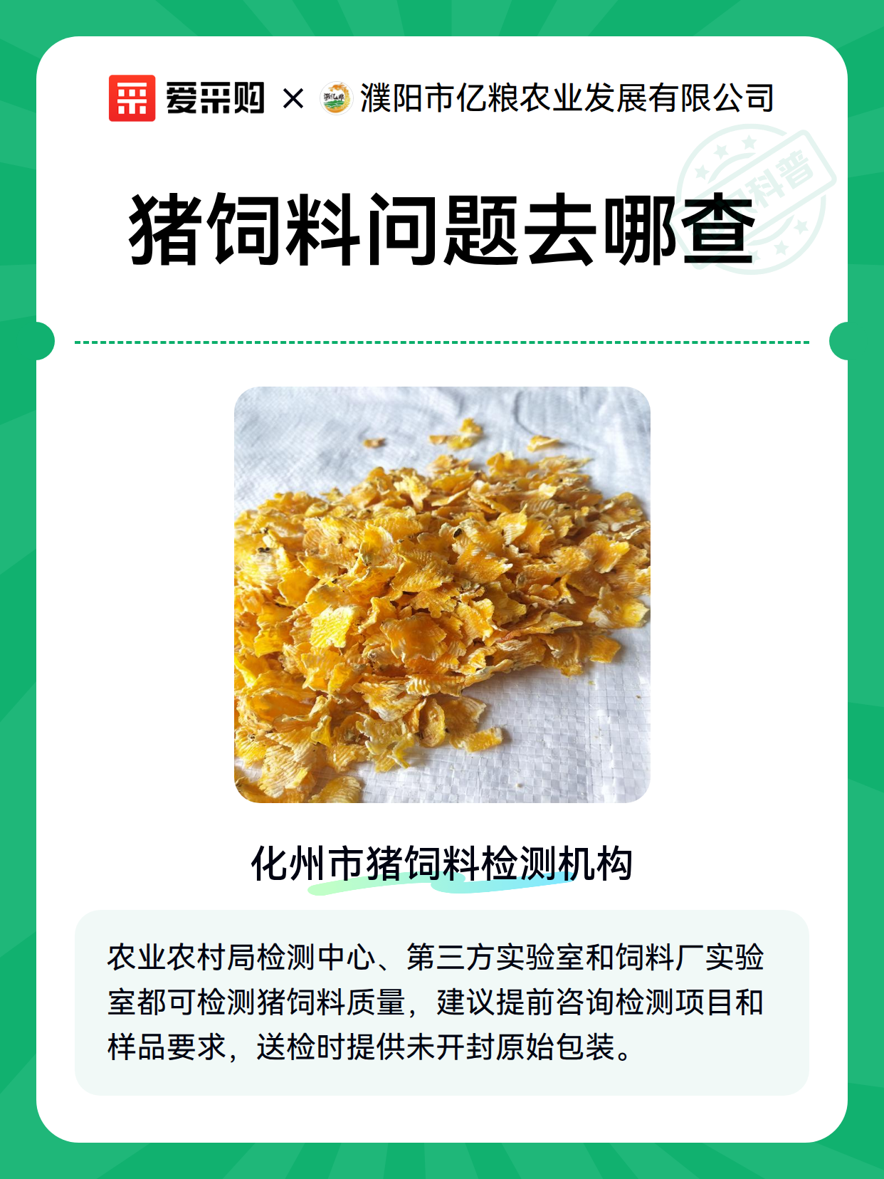 猪饲料问题去哪查（图2）
