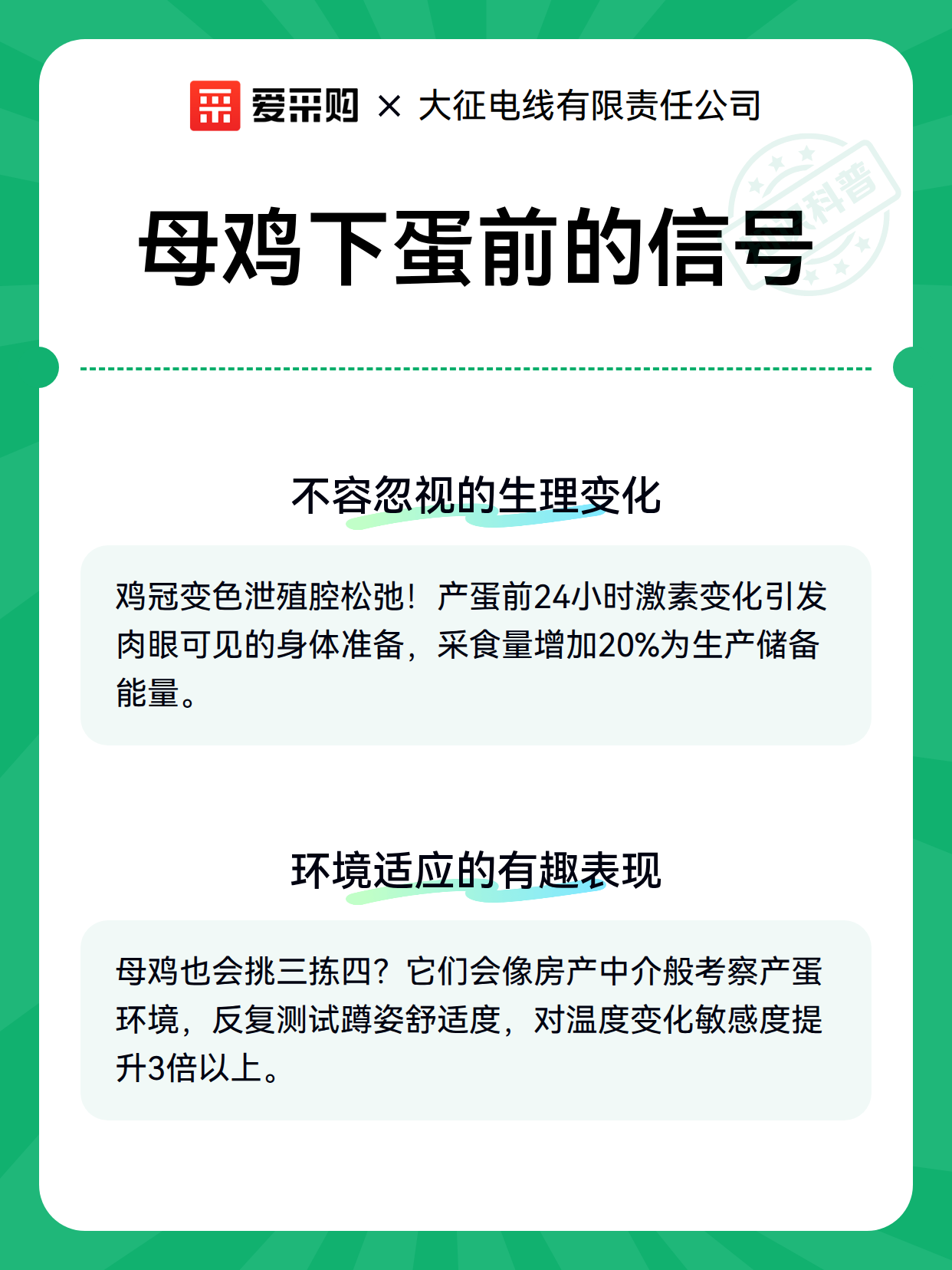 母鸡下蛋前的信号（图2）