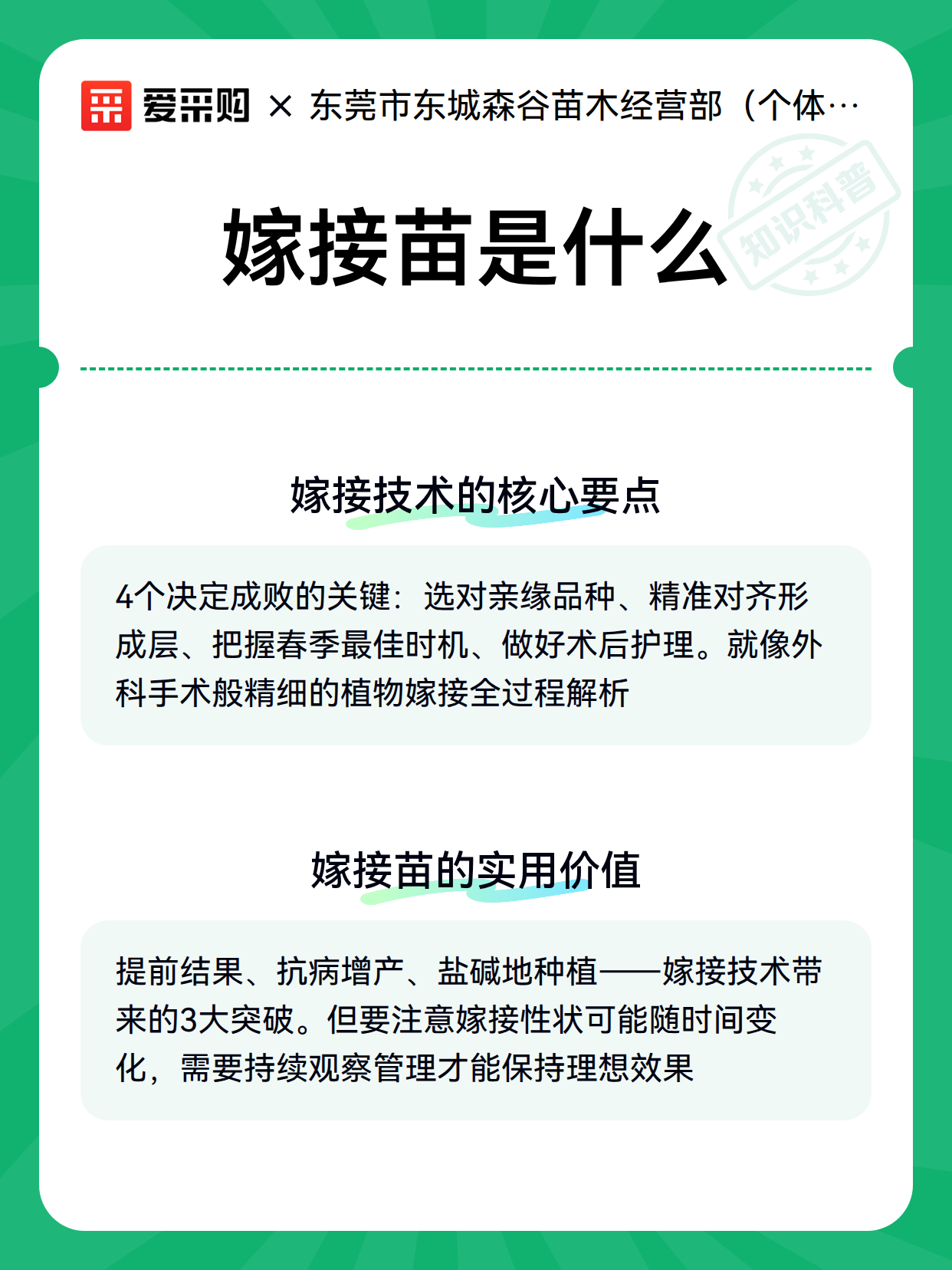 嫁接苗是什么（图3）