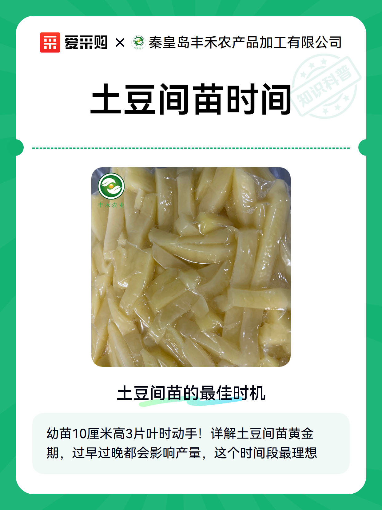 土豆间苗时间（图2）