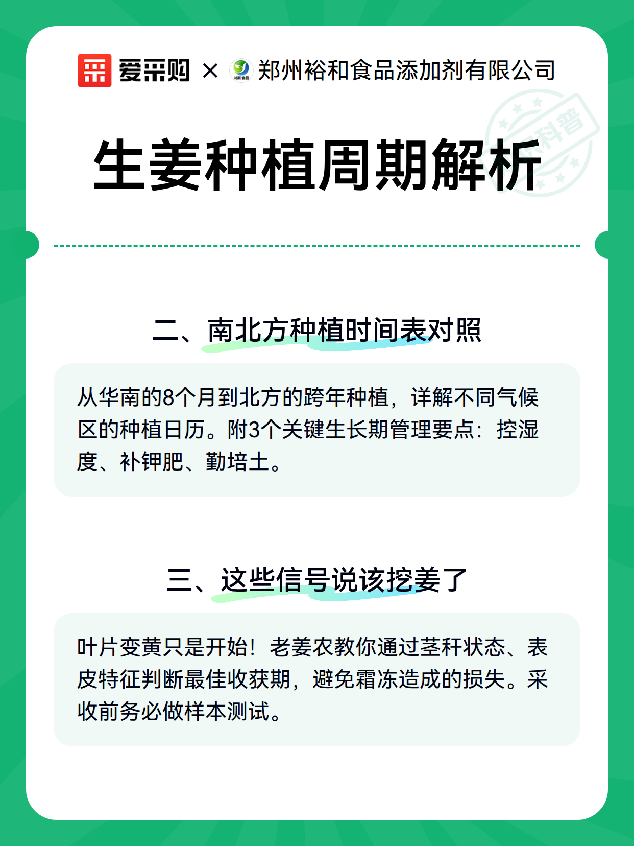生姜种植周期解析（图3）