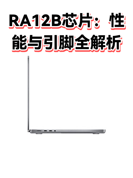 RA12B芯片：性能与引脚全解析（图1）