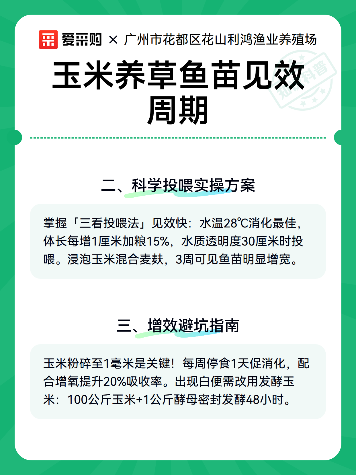 玉米养草鱼苗见效周期（图3）