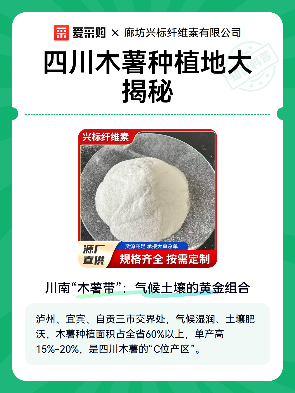 四川木薯种植地大揭秘（图2）