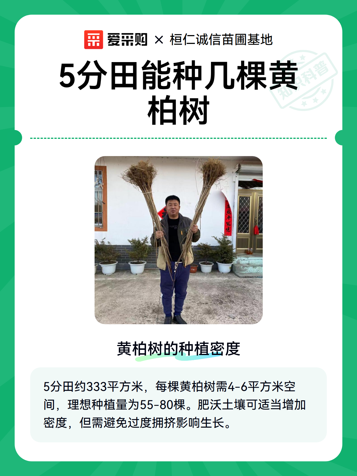 5分田能种几棵黄柏树（图2）