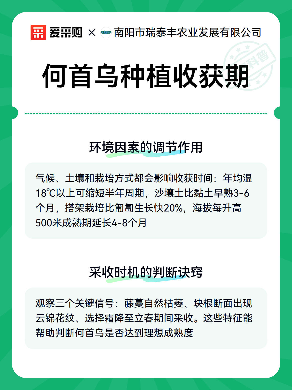 何首乌种植收获期（图3）