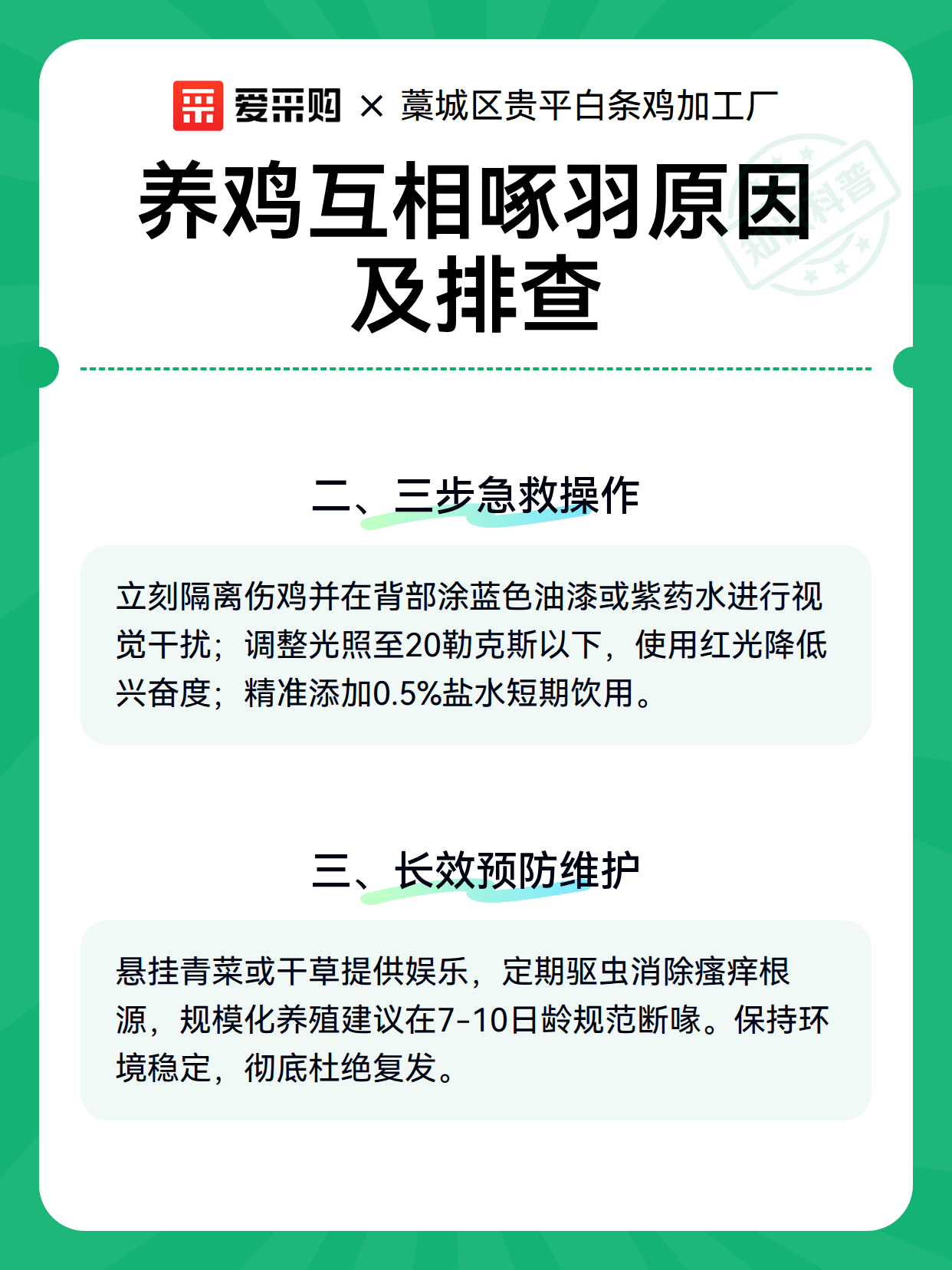 养鸡互相啄羽原因及排查（图2）