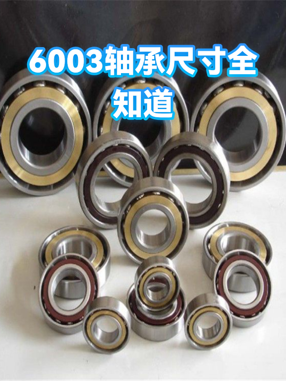 6003轴承尺寸全知道（图1）