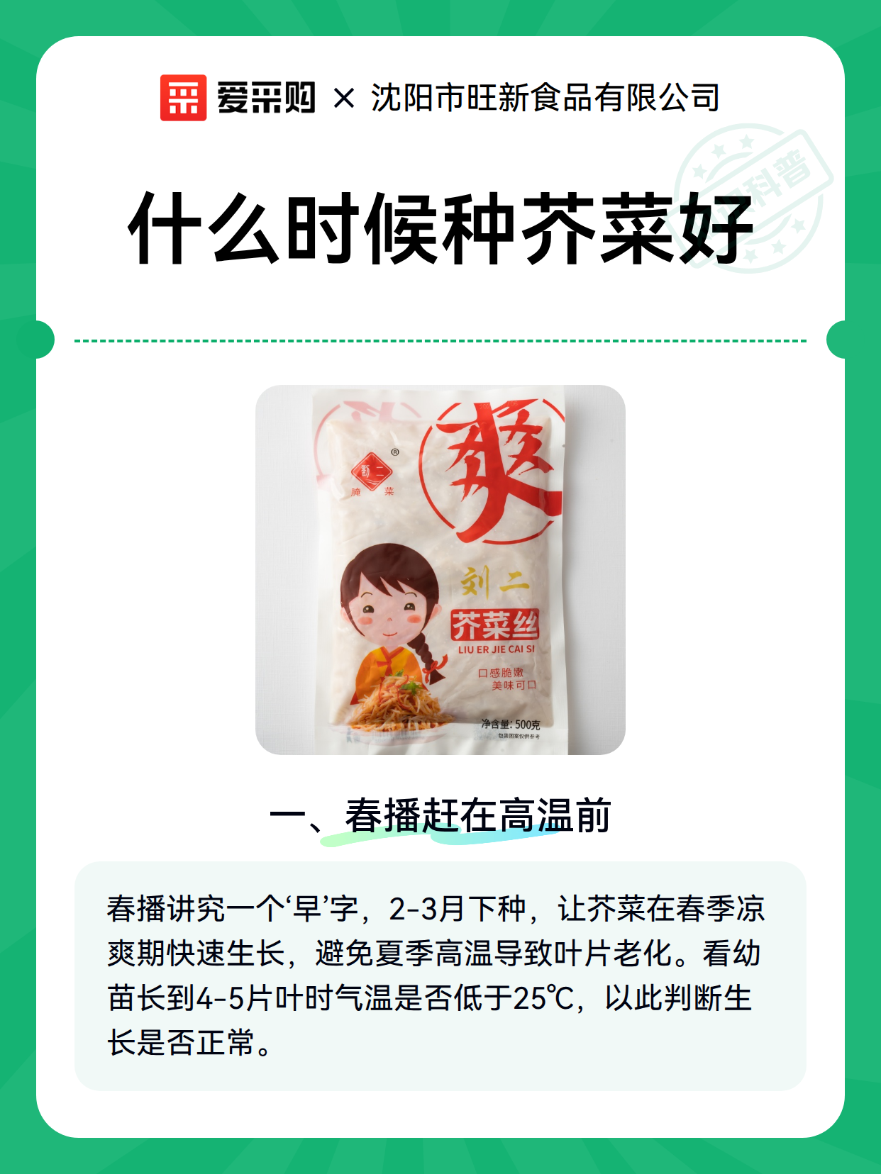 什么时候种芥菜好（图1）