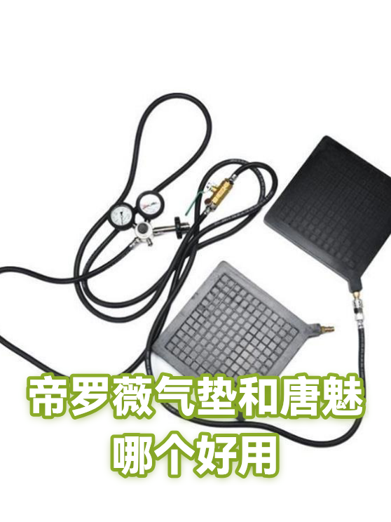 帝罗薇气垫和唐魅哪个好用（图1）
