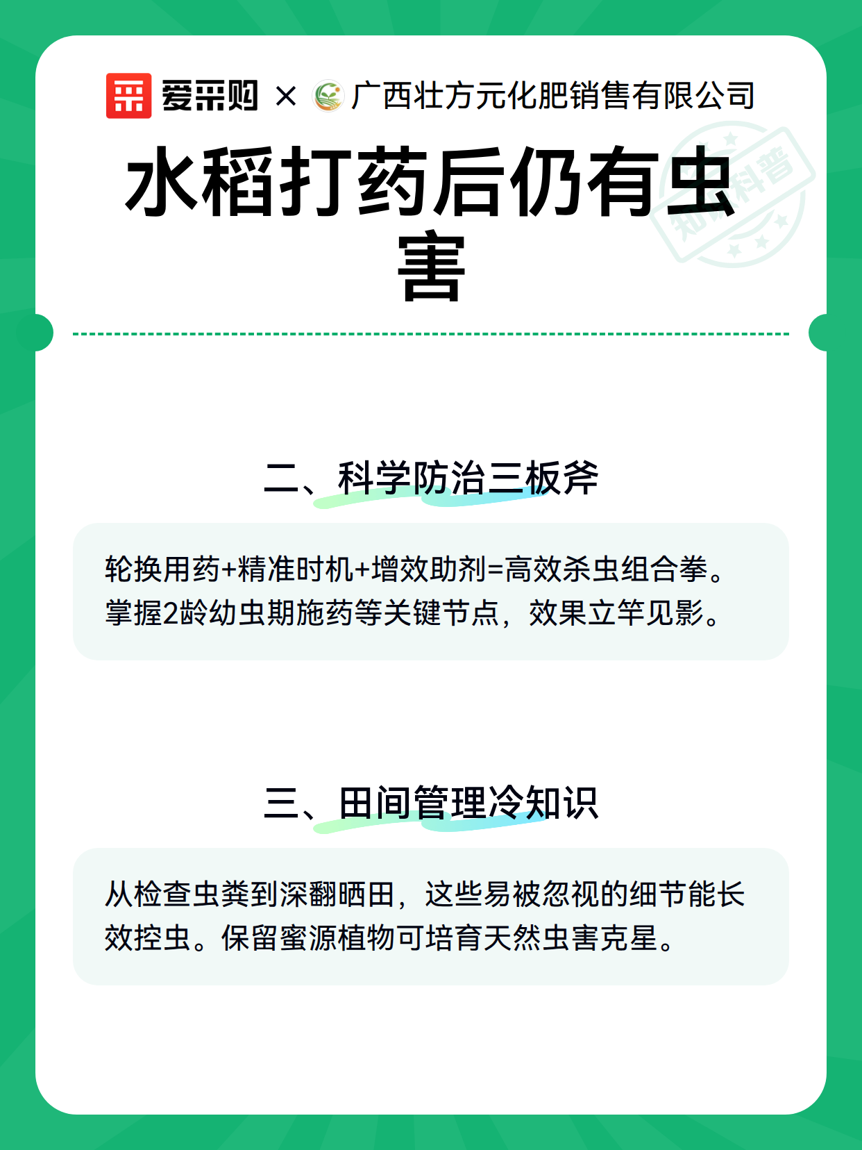水稻打药后仍有虫害（图3）