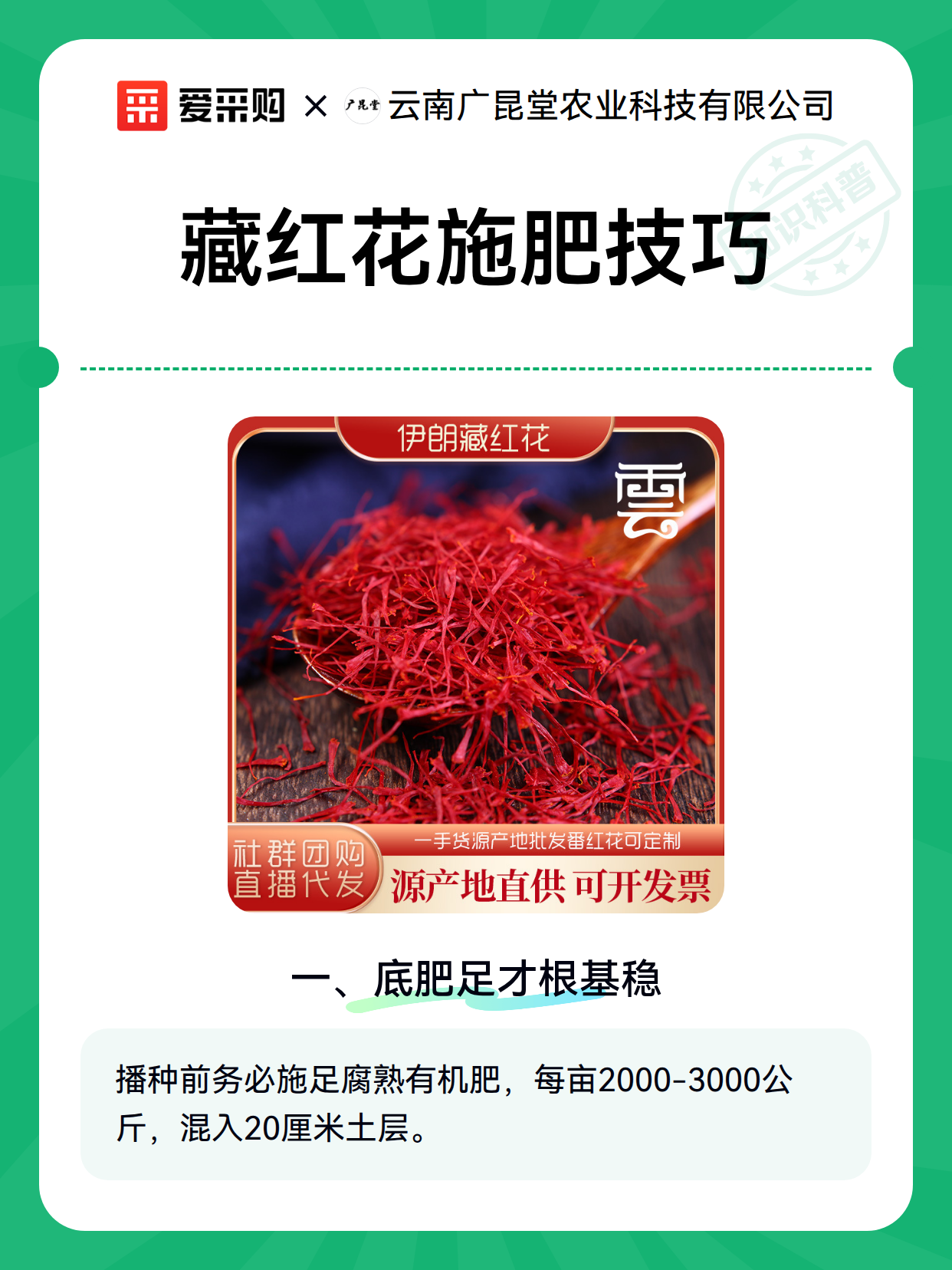 藏红花施肥技巧（图2）