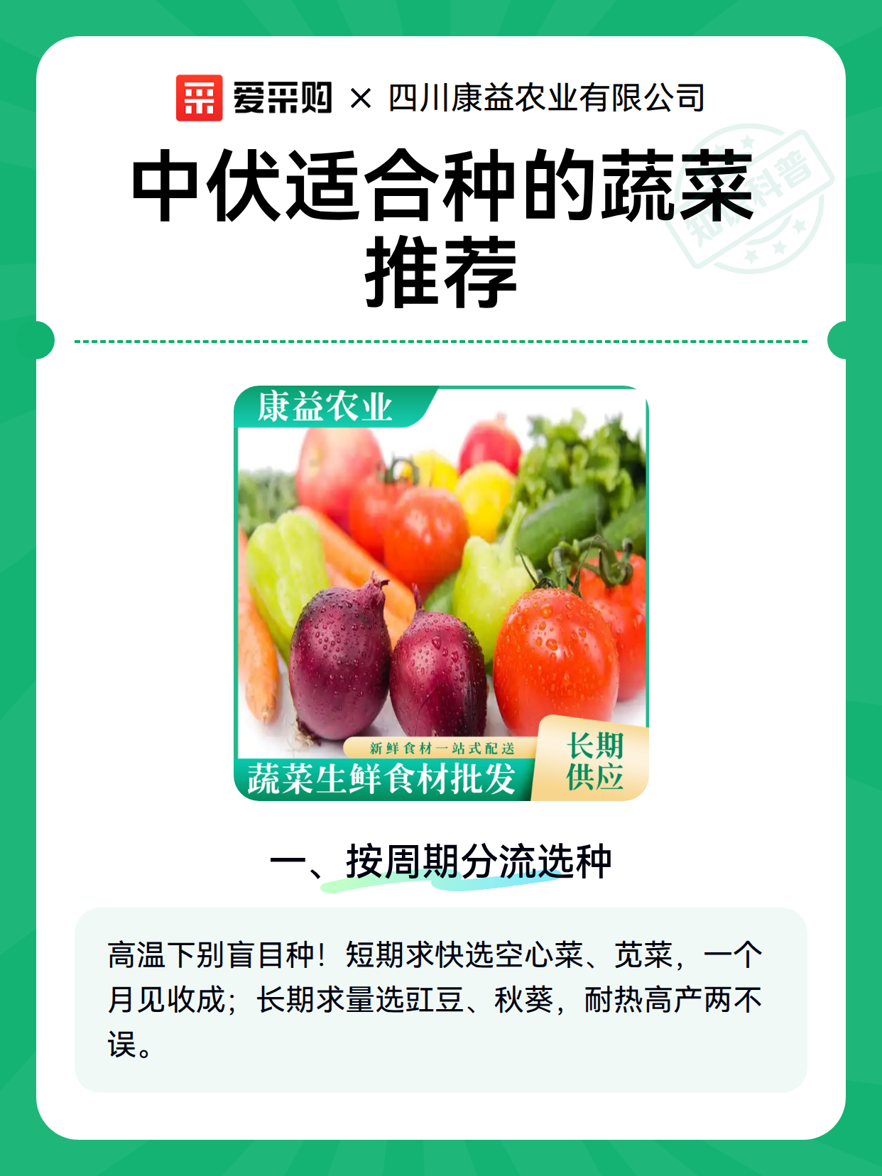 中伏适合种的蔬菜推荐（图2）