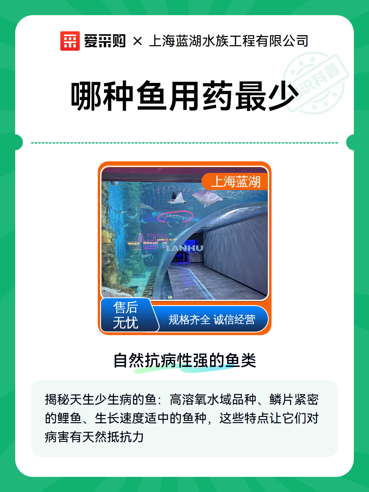 哪种鱼用药最少（图1）