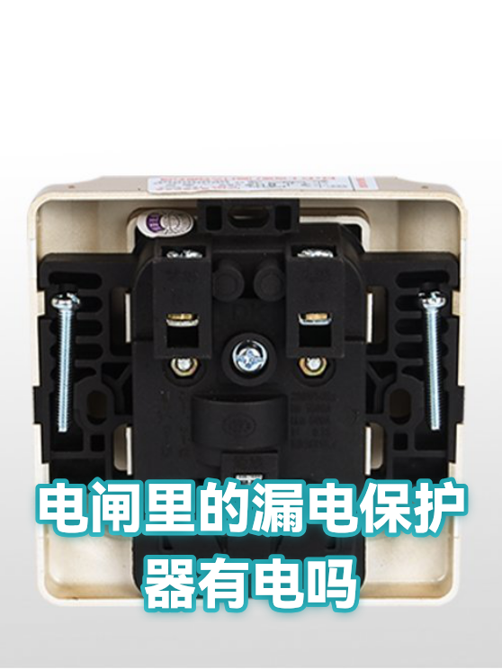 漏电保护器跳闸排查：从原理到现场操作的完整流程（图1）
