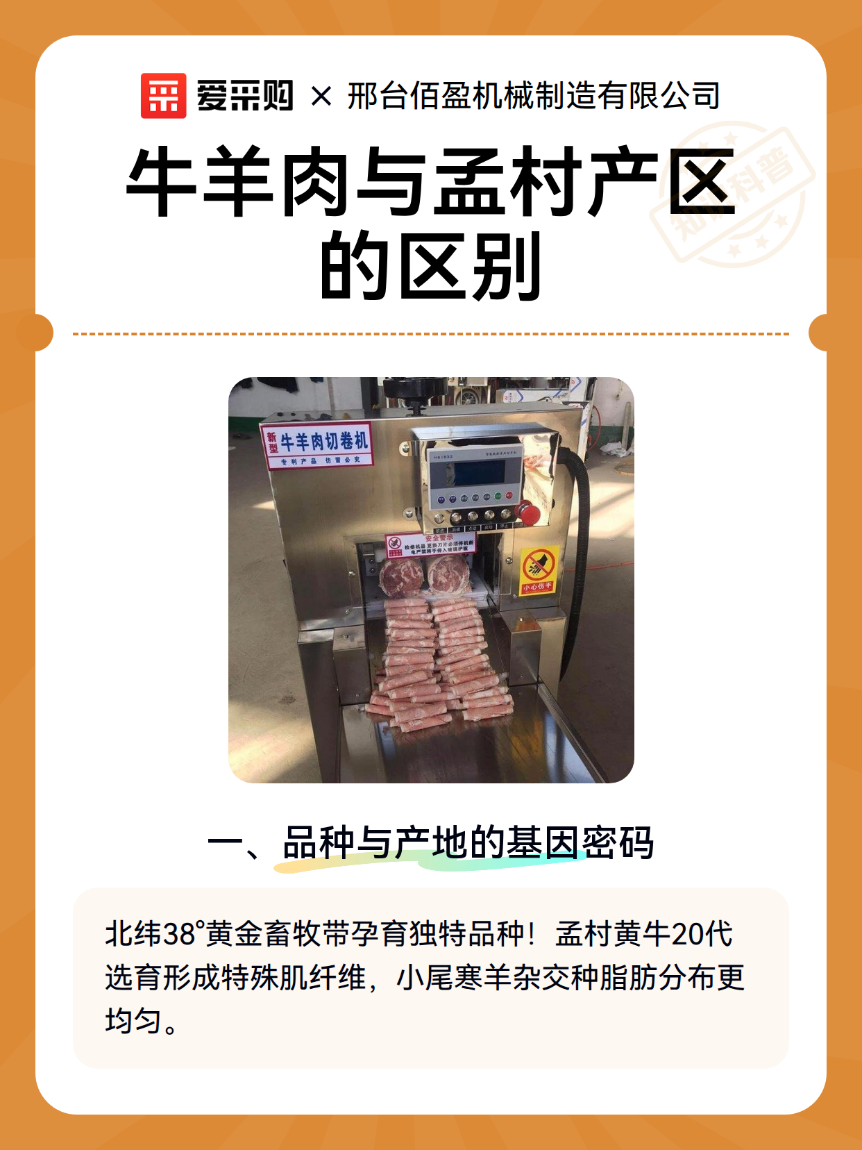 牛羊肉与孟村产区的区别（图2）