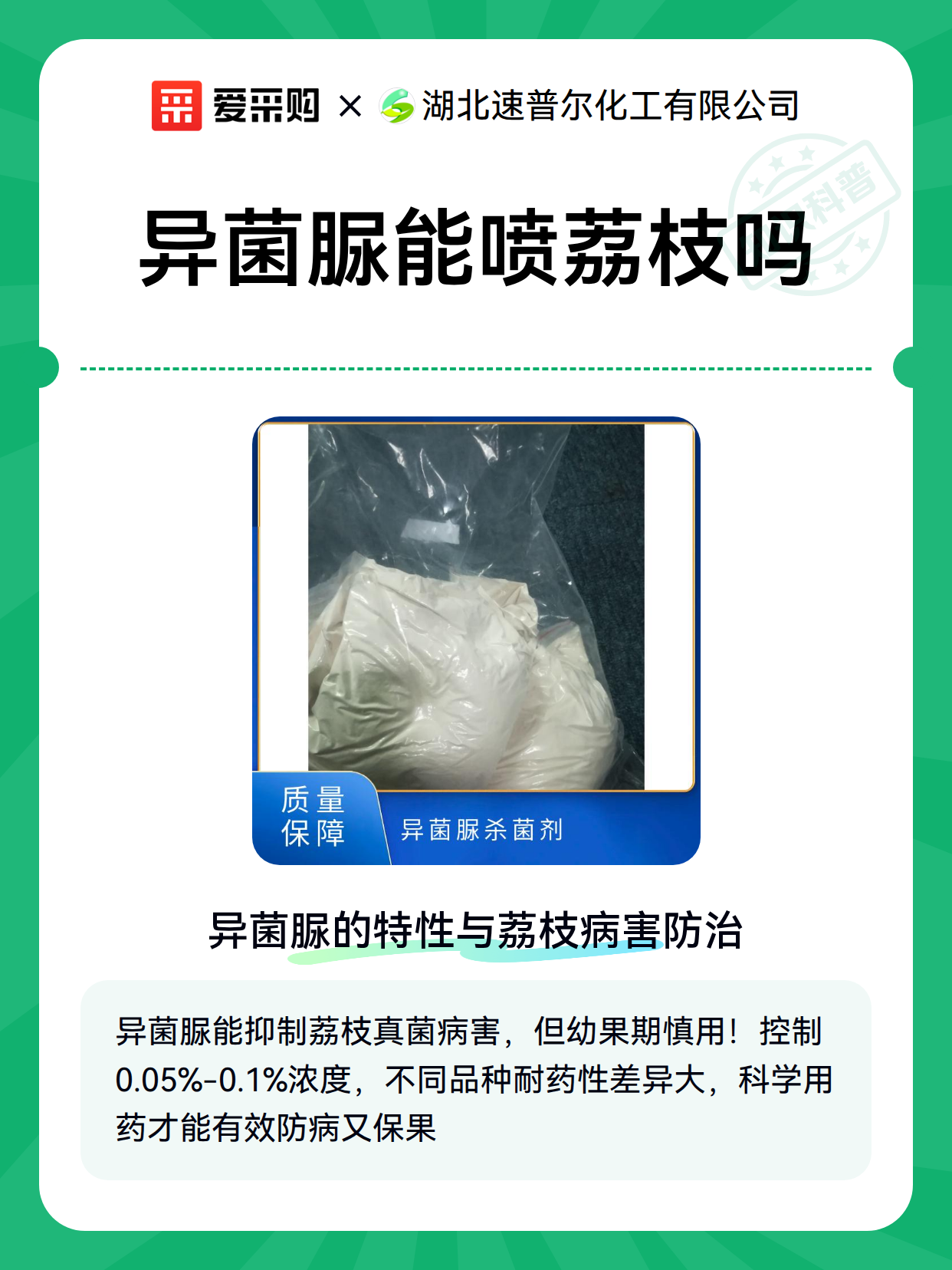 荔枝喷异菌脲后病害没控制住？从现场症状倒推操作失误点（图2）