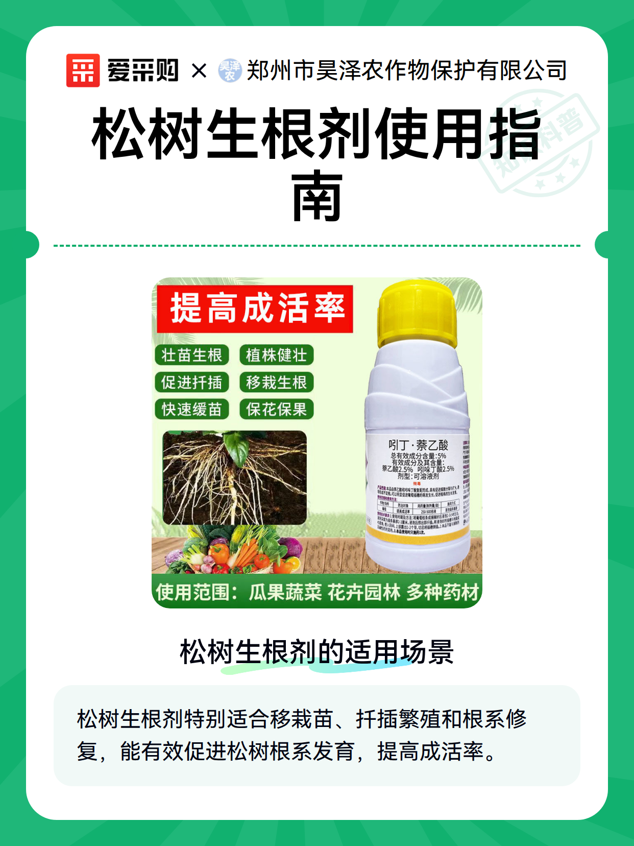 松树生根剂使用指南（图2）