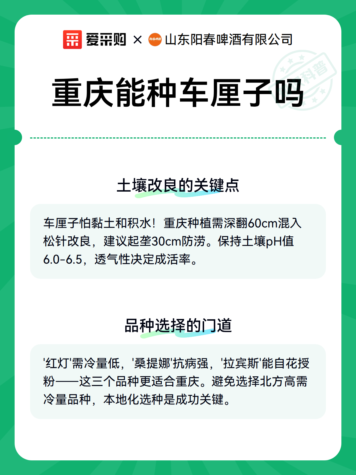 重庆能种车厘子吗（图3）