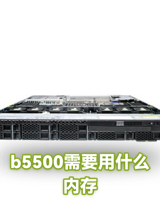 b5500需要用什么内存（图1）