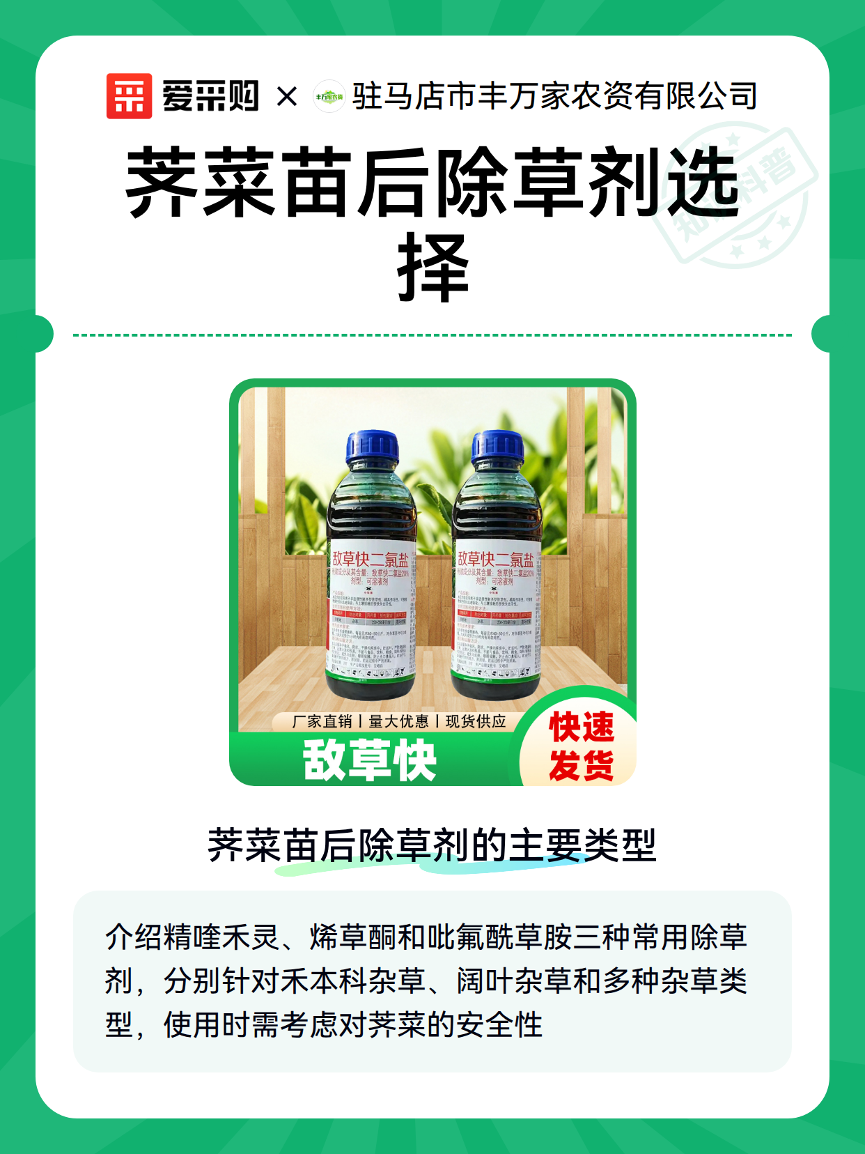 荠菜苗后除草剂选择（图2）