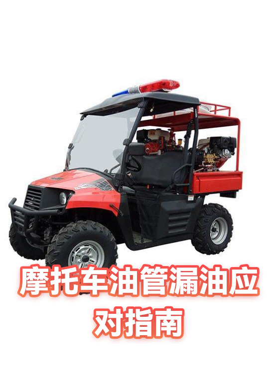 摩托车油管漏油应对指南（图1）