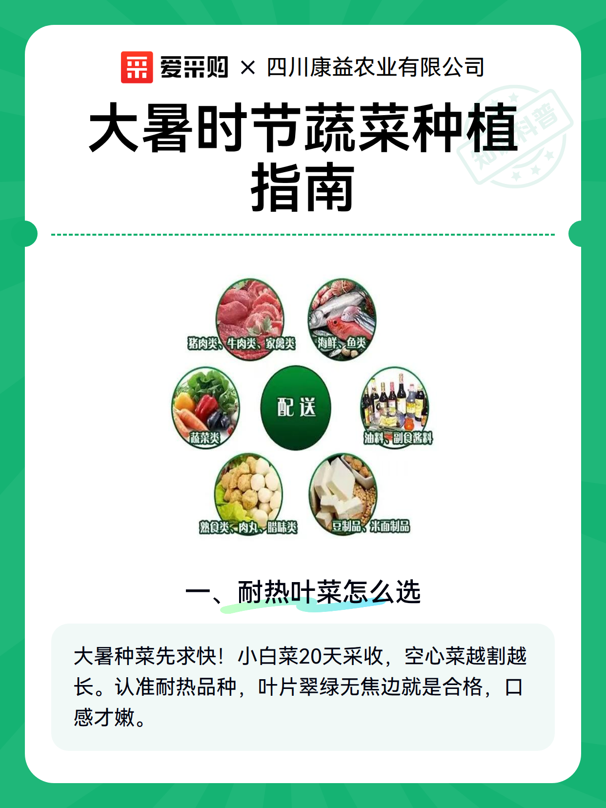 大暑时节蔬菜种植指南（图2）