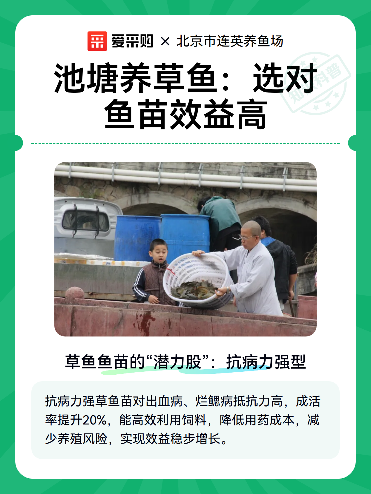 池塘养草鱼：选对鱼苗效益高（图2）
