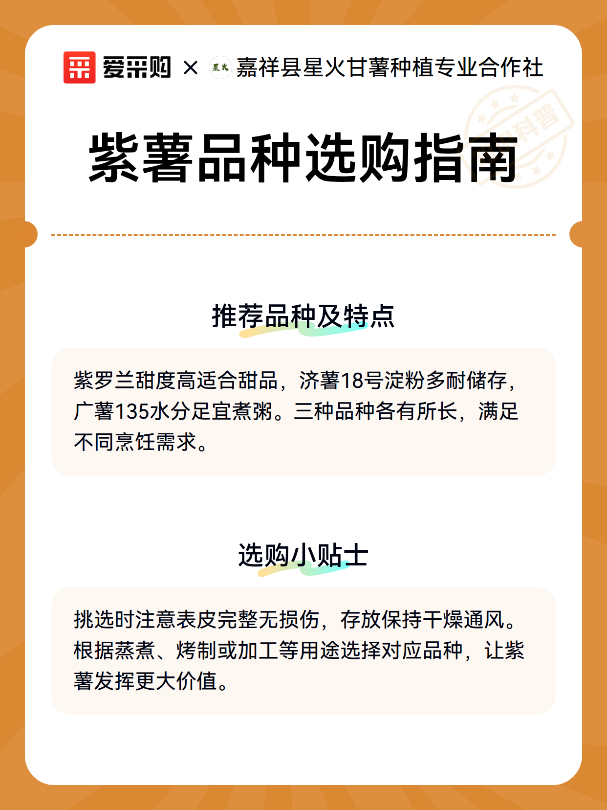 紫薯品种选购指南（图2）