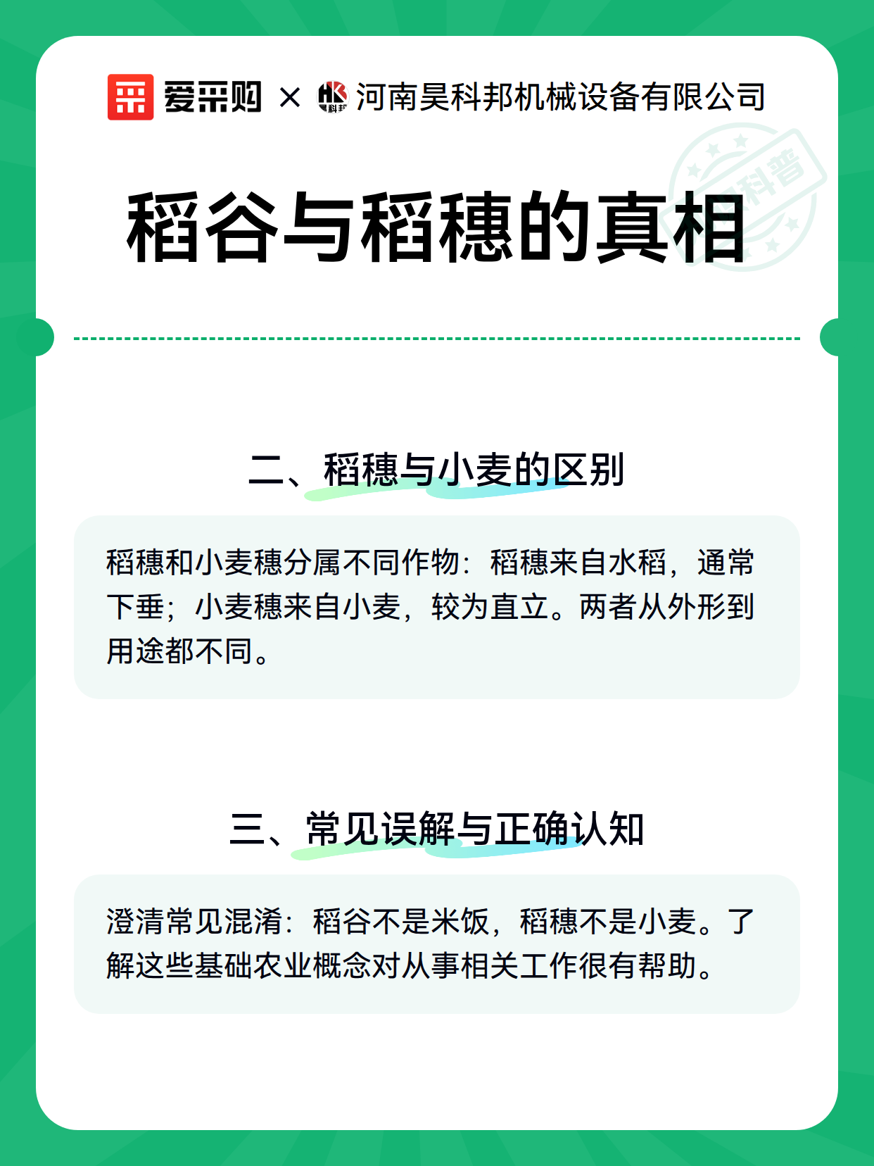 稻谷与稻穗的真相（图2）