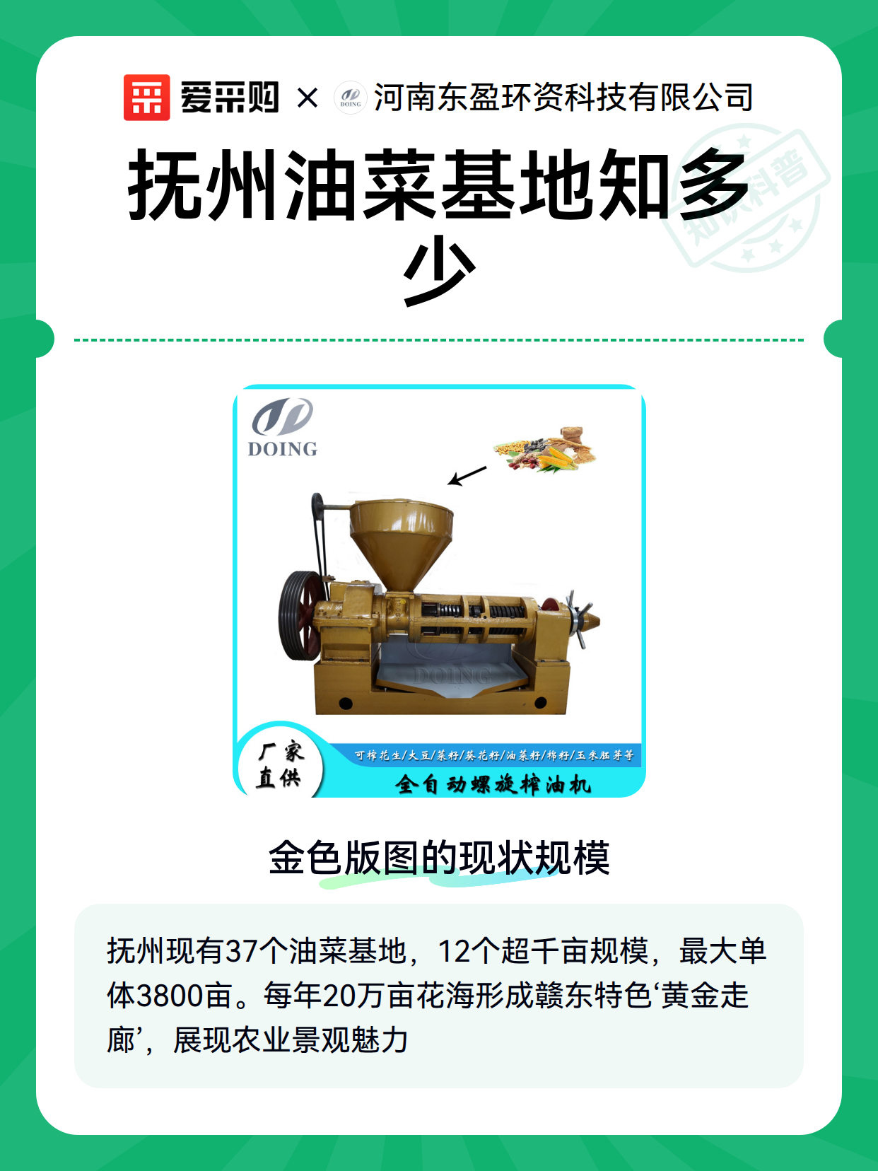 抚州油菜基地知多少（图2）