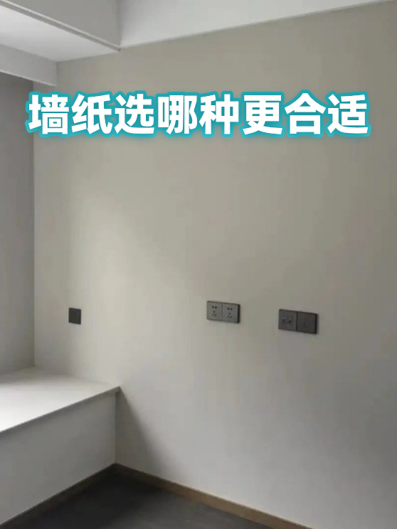 墙纸选哪种更合适（图1）