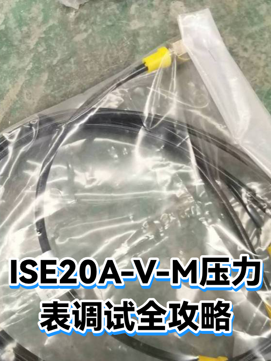 ISE20A-V-M压力表调试全攻略（图1）