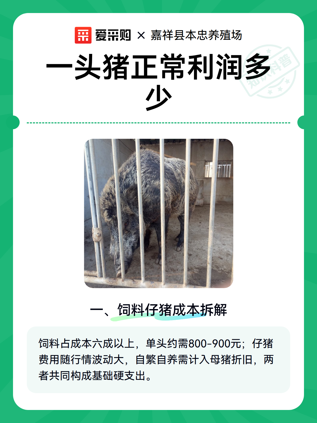 一头猪正常利润多少（图1）