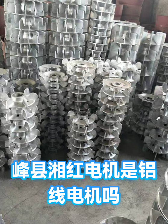 峰县湘红电机是铝线电机吗（图1）