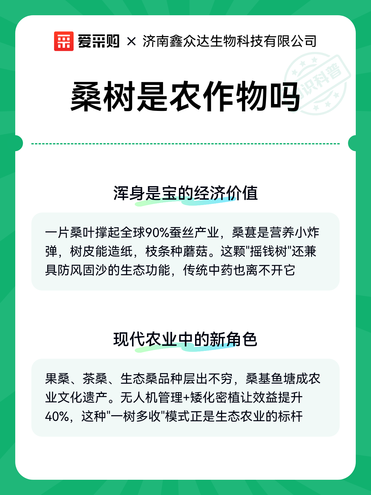 桑树是农作物吗（图2）