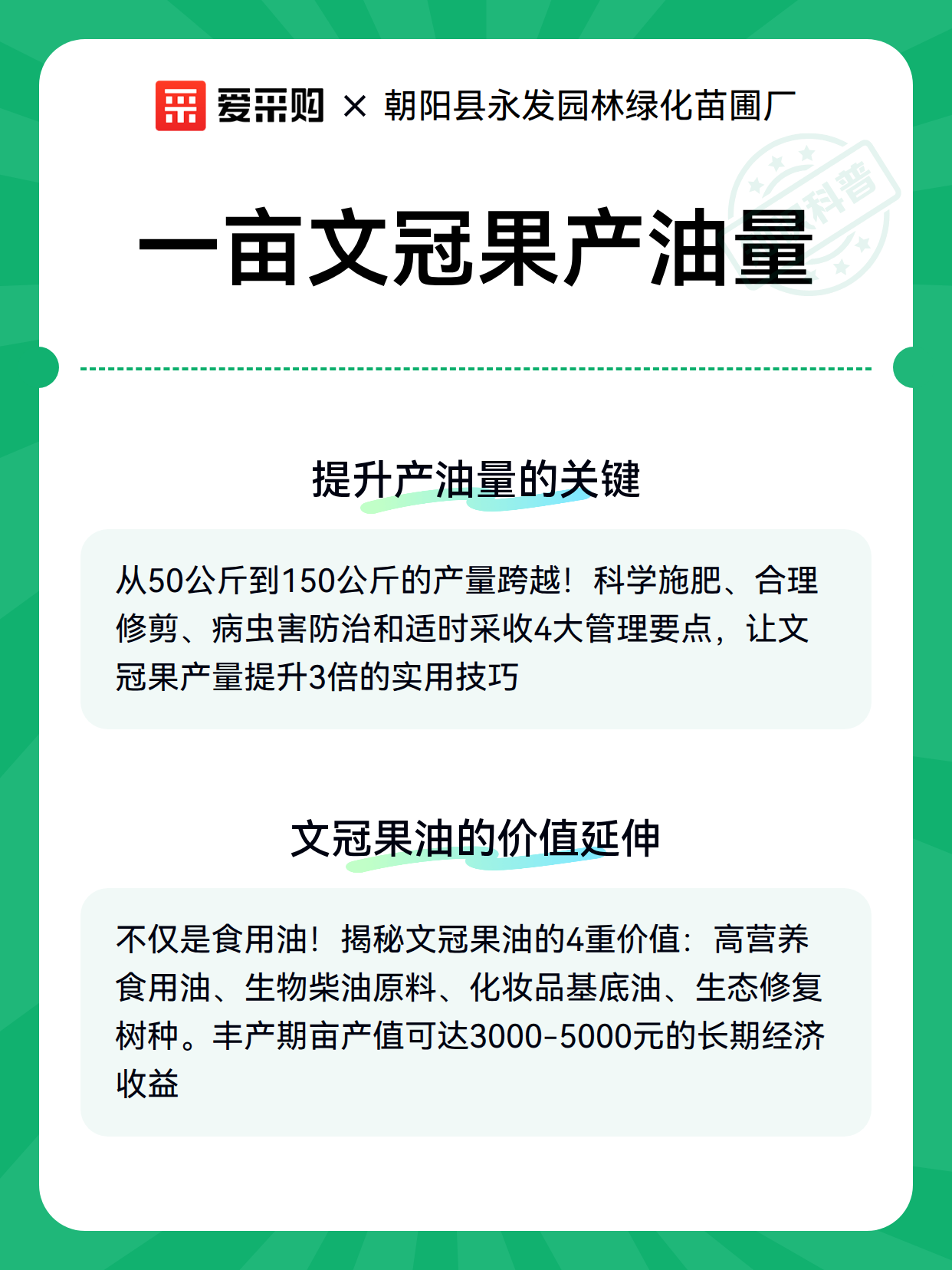 一亩文冠果产油量（图3）