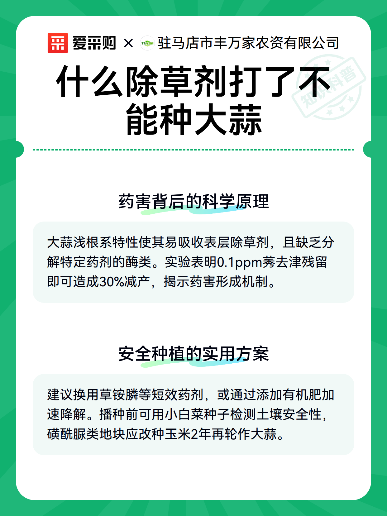 什么除草剂打了不能种大蒜（图3）