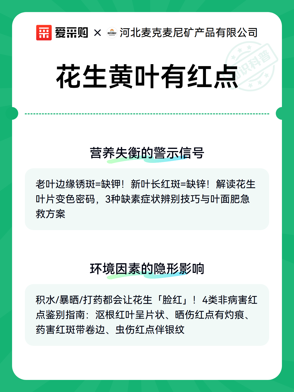 花生黄叶有红点（图3）